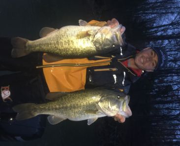 Cole Sands Two Spring Bass